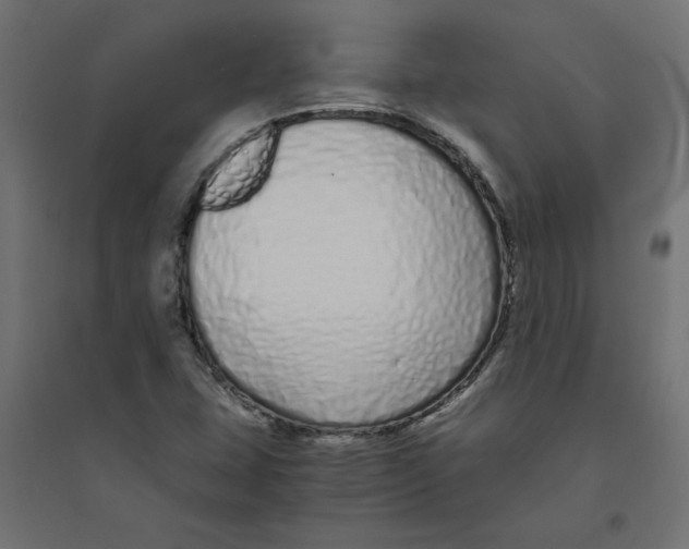 X0000094361407200711241927