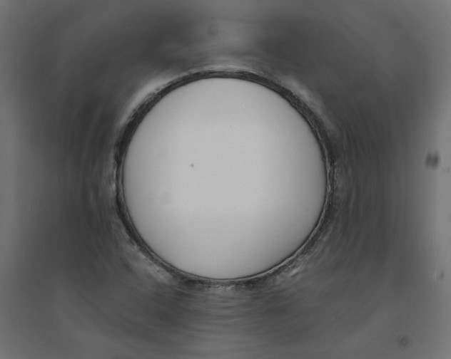 X0000094361408200711241927