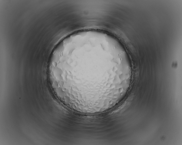 X0000094361409200711241927