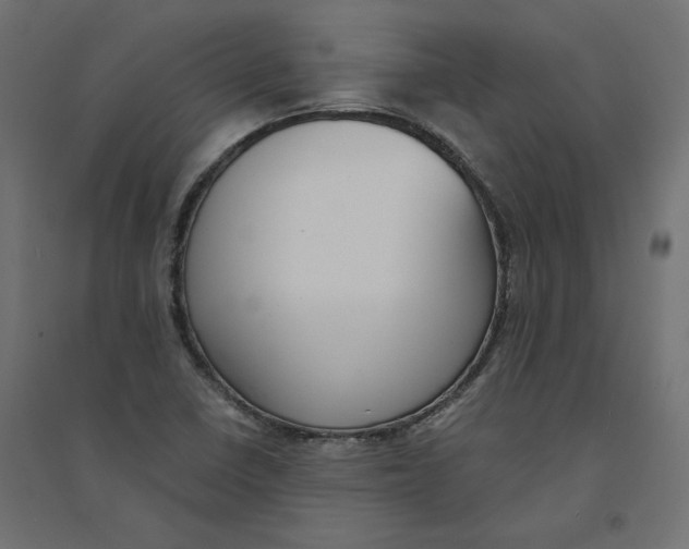 X0000094361410200711241927