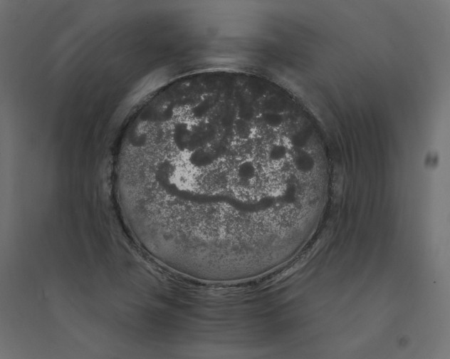 X0000094361411200711241927