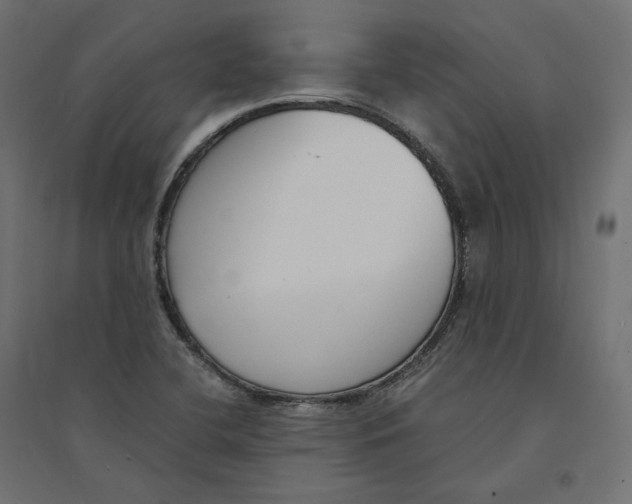 X0000094361412200711241927