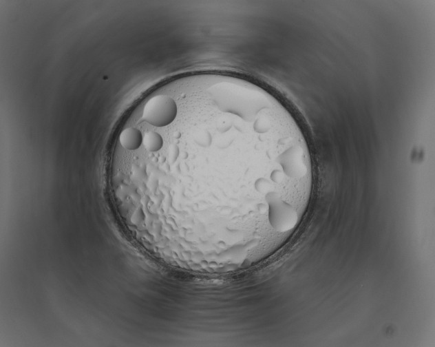 X0000094361415200711241927