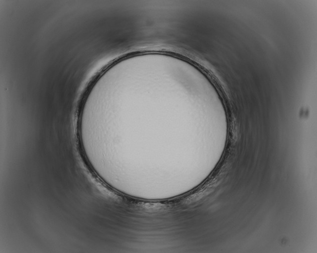 X0000094361416200711241927