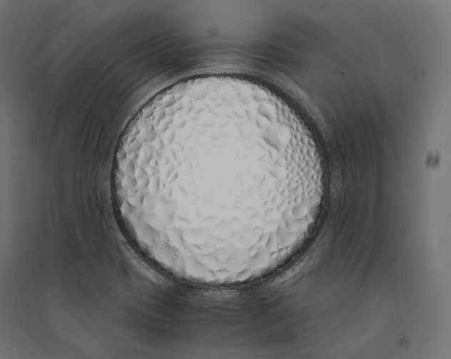 X0000094361417200711241927