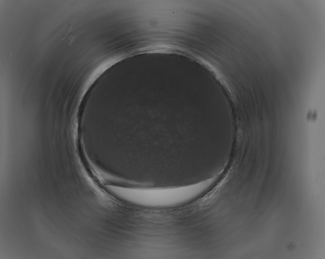 X0000094361418200711241927