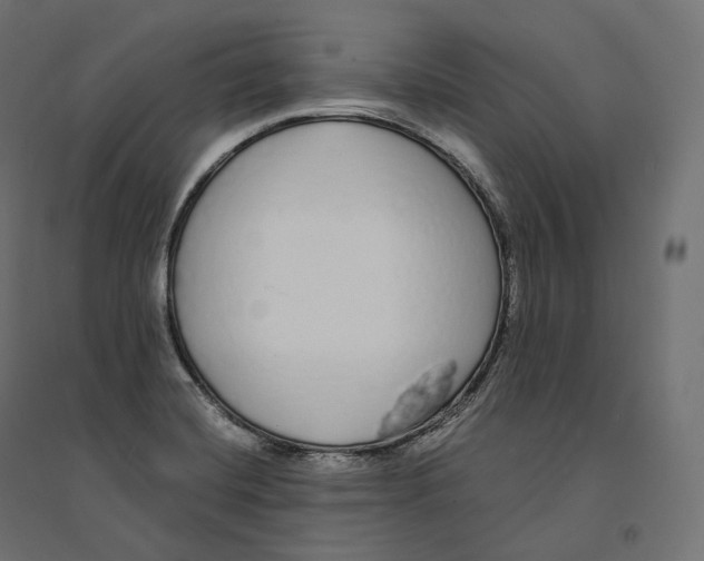 X0000094361420200711241927