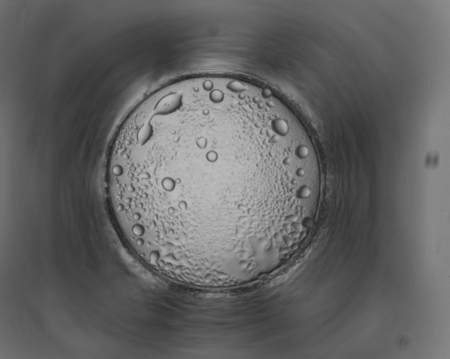 X0000094361421200711241927