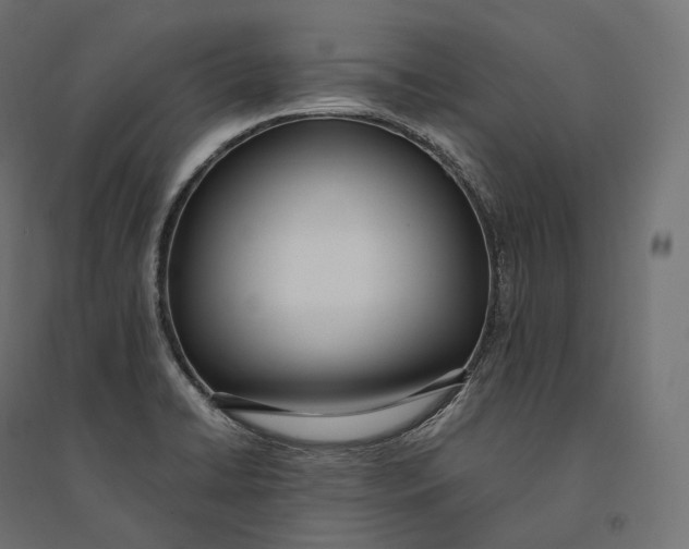 X0000094361422200711241927