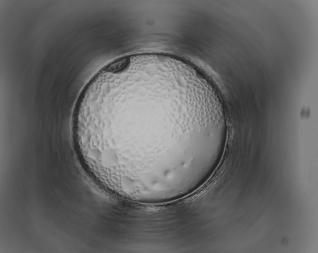 X0000094361423200711241927