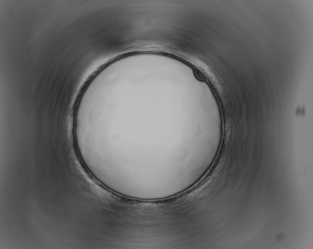 X0000094361424200711241927