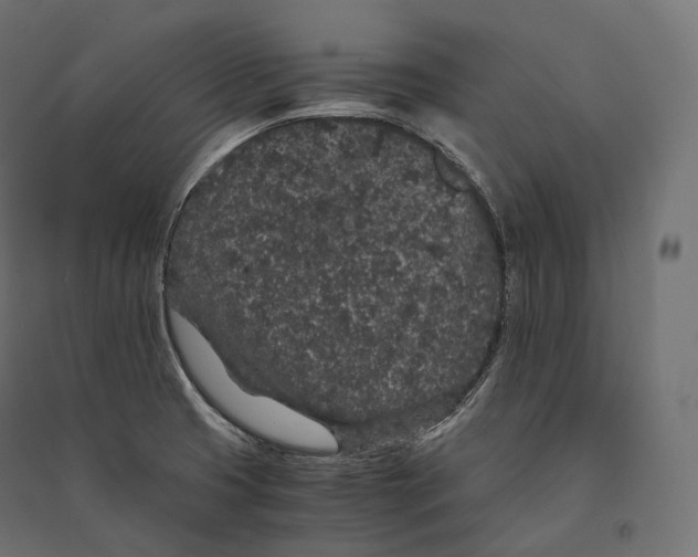 X0000094361425200711241927