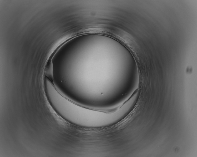 X0000094361426200711241927