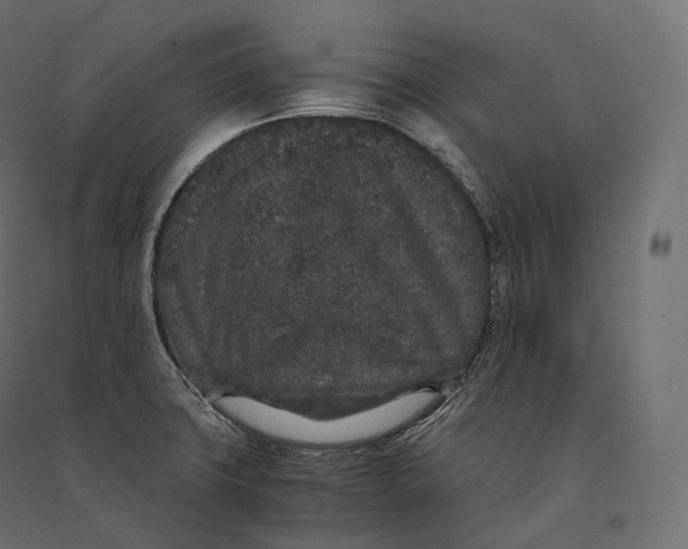 X0000094361427200711241927