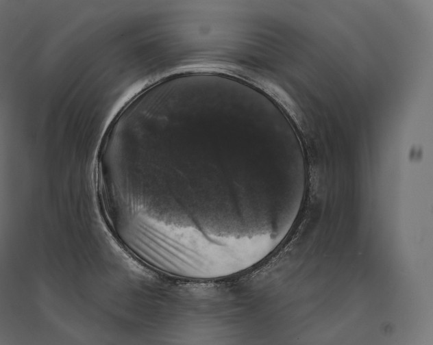 X0000094361428200711241927