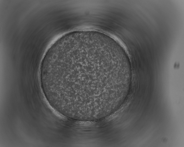 X0000094361429200711241927