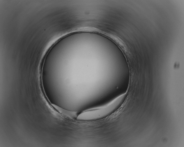 X0000094361430200711241927