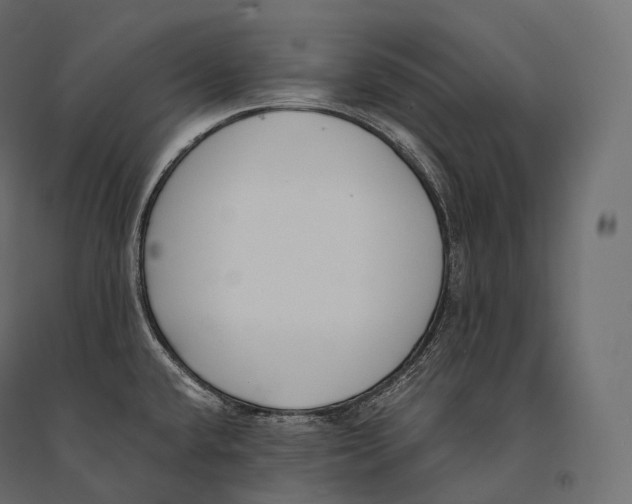 X0000094361432200711241927