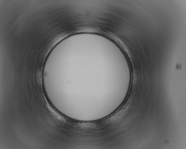 X0000094361433200711241927