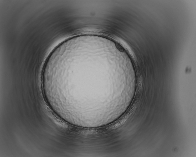 X0000094361435200711241927