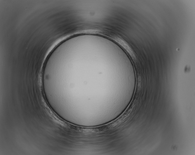 X0000094361436200711241927