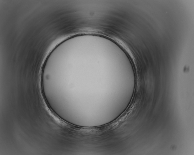 X0000094361437200711241927