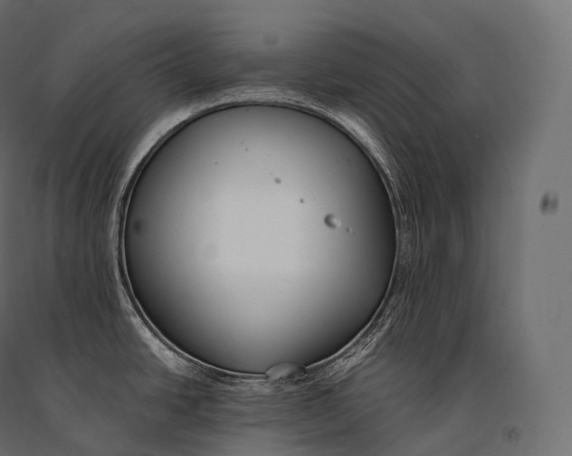 X0000094361438200711241927