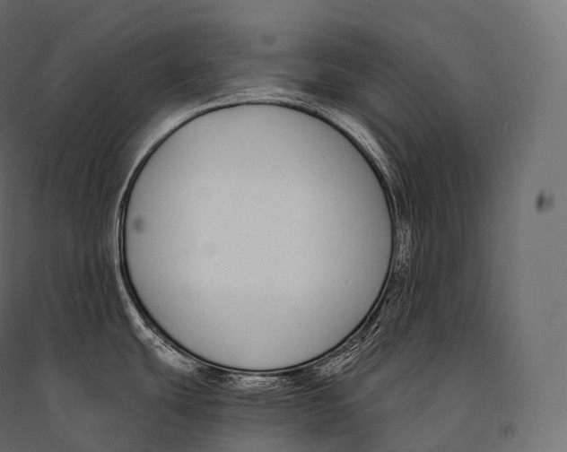 X0000094361439200711241927