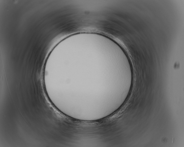 X0000094361440200711241927