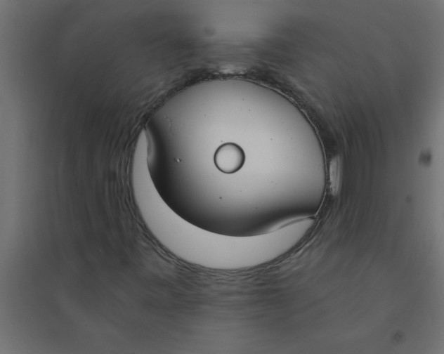 X0000094361443200711241927