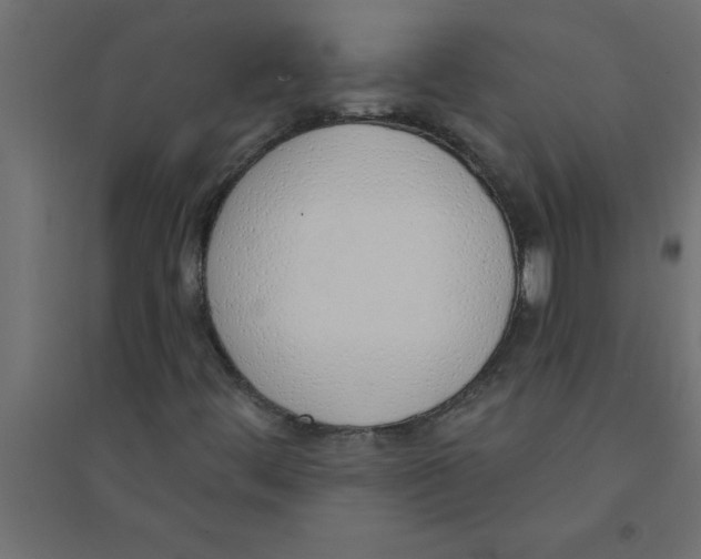 X0000094361444200711241927