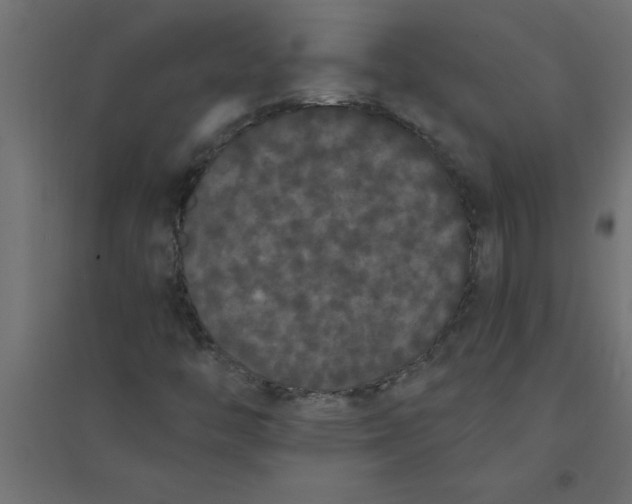 X0000094361446200711241927