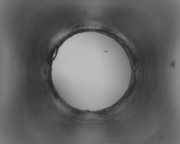 X0000094361448200711241927