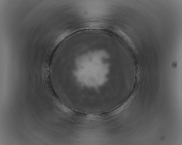 X0000094361449200711241927