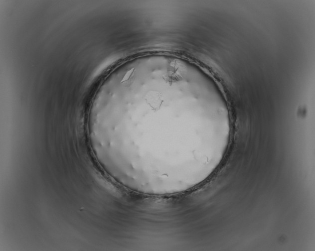 X0000094361450200711241927