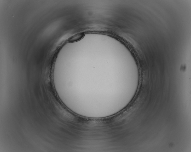 X0000094361451200711241927