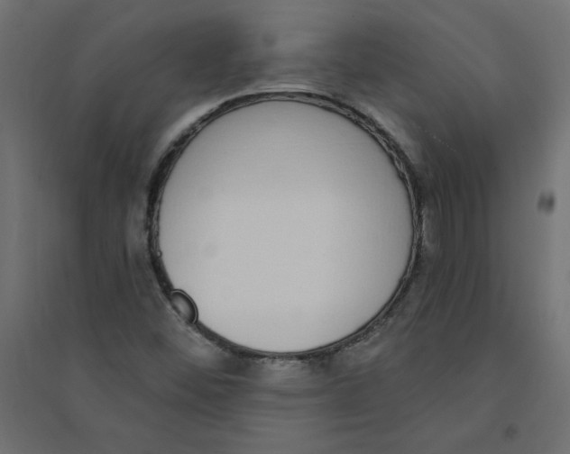 X0000094361452200711241927