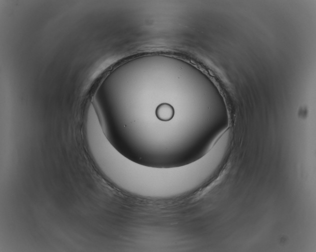 X0000094361453200711241927