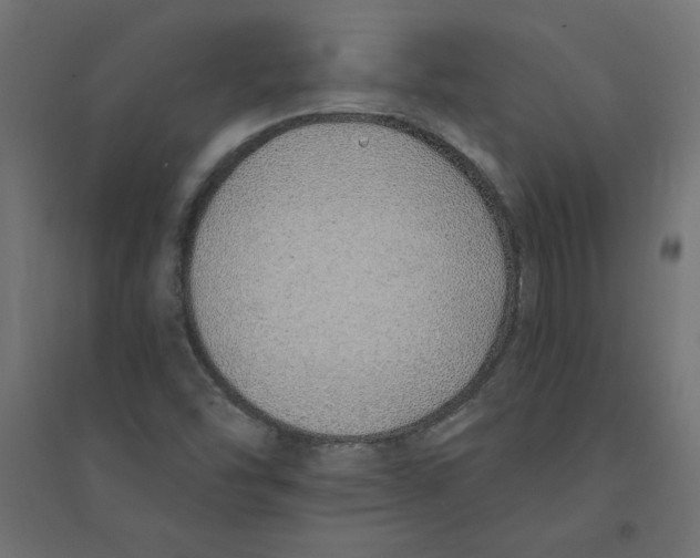 X0000094361454200711241927