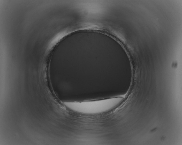 X0000094361455200711241926