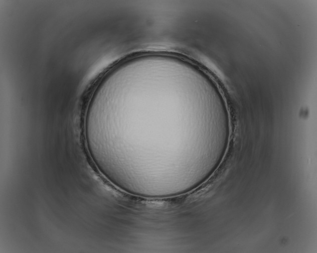 X0000094361456200711241926