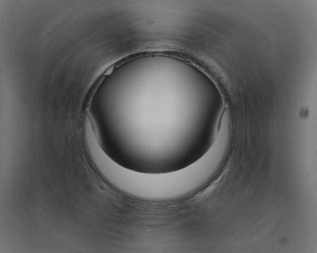 X0000094361457200711241926