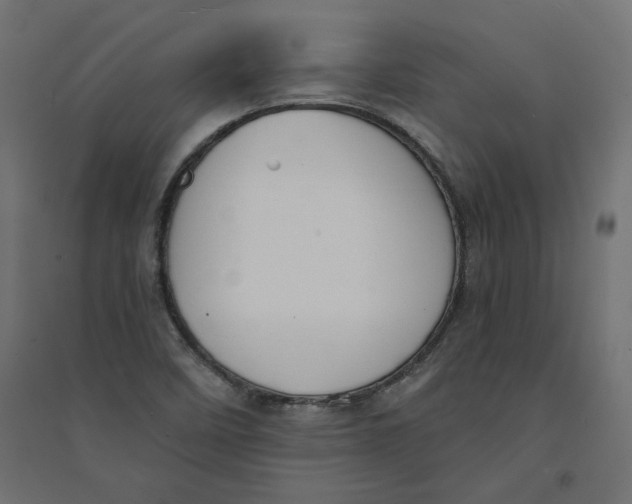 X0000094361458200711241926