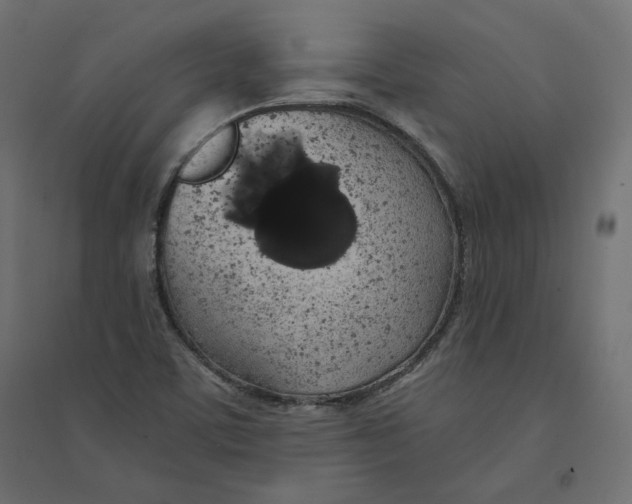 X0000094361459200711241926