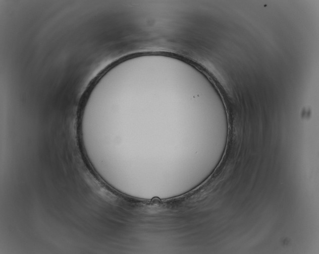 X0000094361460200711241926