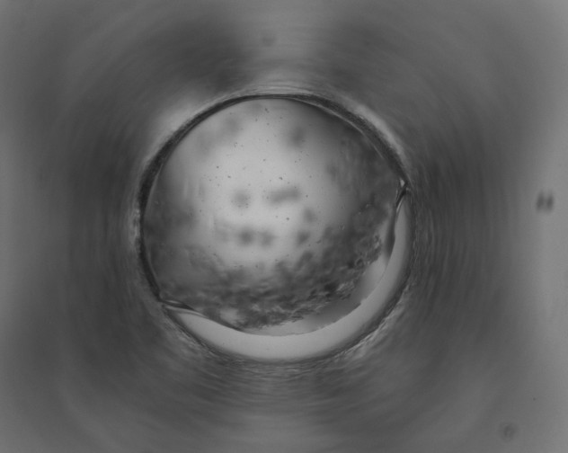 X0000094361461200711241926