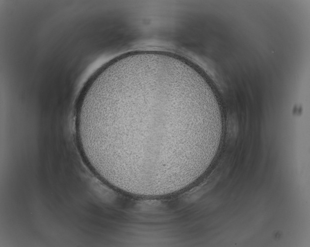 X0000094361462200711241926