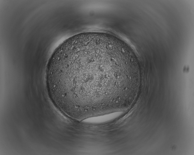 X0000094361463200711241926