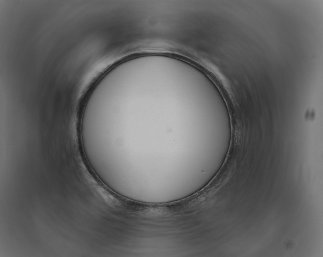 X0000094361464200711241926