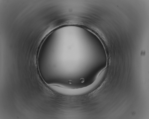 X0000094361465200711241926